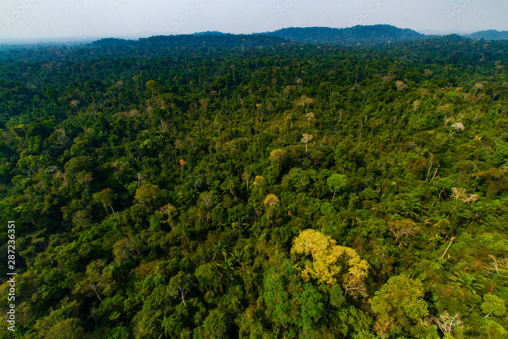 Obraz premium Amazon Rainforest inside the Menkragnoti Indigenous Land - Pará, Brazil