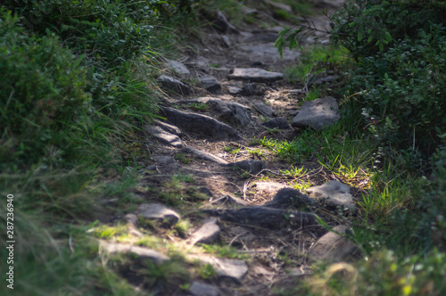 Fototapeta Naklejka Na Ścianę i Meble -  Stones on a mountain trail
