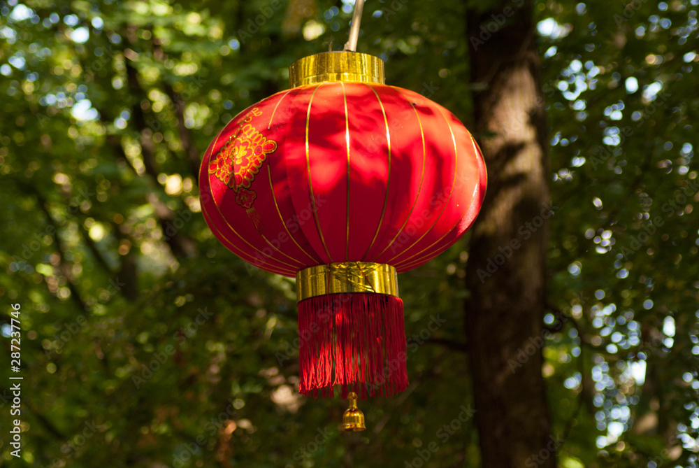 Obraz premium SONY DSC