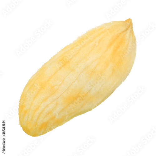 seed of mango isolated on white background
