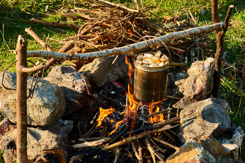 Cooking fresh mushrooms on campfire in mountain