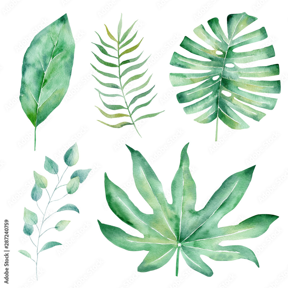 Tropical leaves hand drawn watercolor raster illustration set