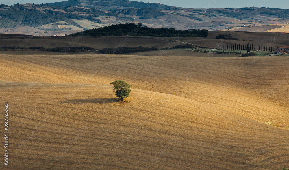 Obraz premium Beautiful Tuscan hills is autumn.