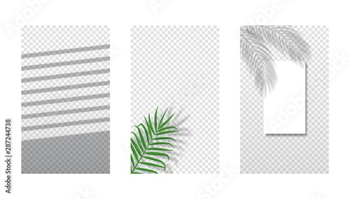 Vector set of different shadows overlay on transparent background. Shadows of palm leaf, jalousie or louvers and tropical leaves on sheet of paper. Abstract background with copy space for text, offer.
