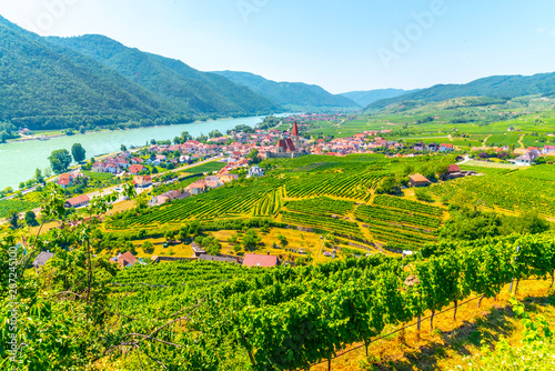 Sunny day in Wachau Valley. Landscape of vineyards and Danube River at Weissenkirchen  Austria