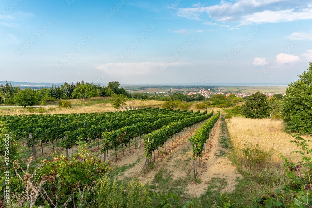 Oggau village at the Lake Neusiedler See in Burgenland, Austria