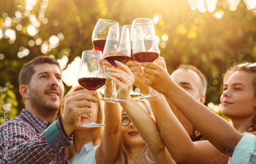 Group of friends having fun outdoors at the end of a beautiful autumn day in a vineyard - Focus on hands toasting red wine glasses with sun flare - Friendship concept