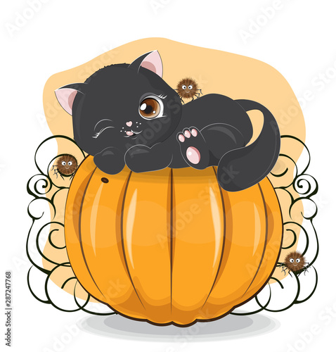Halloween black cat on pumpkin