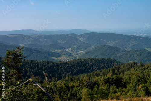 Ausblick