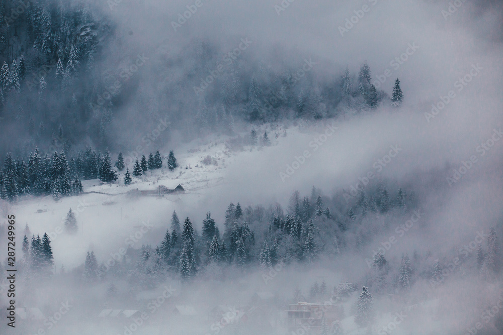 Fototapeta Winter postcard.