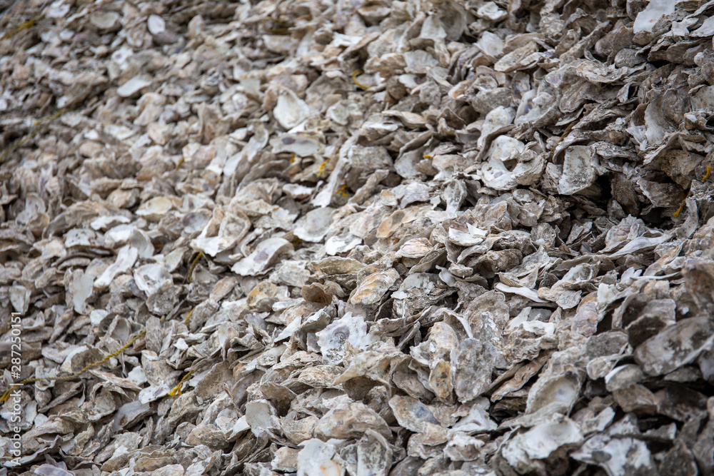 A mountain of oysters shells outside a fish shack in the Oregon Coast A mountain of oysters shells outside a fish shack in the Oregon Coast