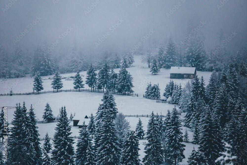 Obraz premium Winter postcard.
