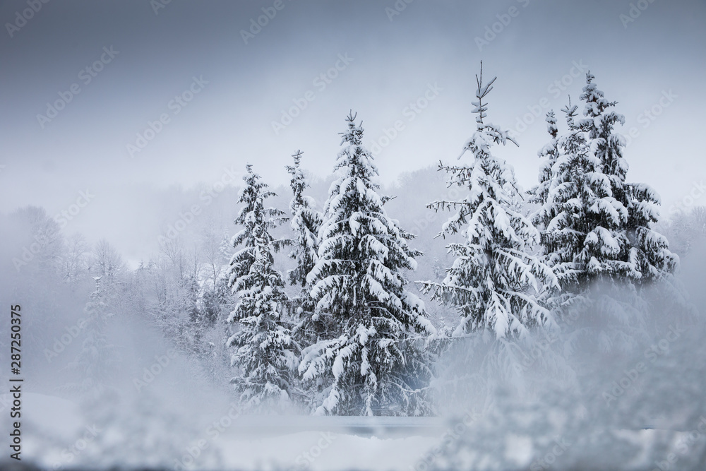 Naklejka premium Winter postcard.