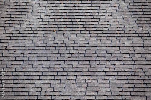 Wallpaper Mural Roof tiles or shingles typical of the northwestern pacific coast: wooden texture and geometrical patterns Torontodigital.ca