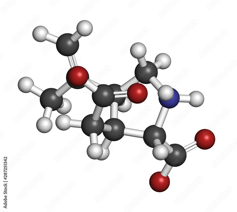 Kainic acid molecule. Direct agonist of the glutamic kainate receptors. 3D rendering. Atoms are represented as spheres with conventional color coding: hydrogen (white), carbon (grey), oxygen (red), et Kainic acid molecule. Direct agonist of the glutamic kainate receptors. 3D rendering. Atoms are represented as spheres with conventional color coding: hydrogen (white), carbon (grey), oxygen (red), et
