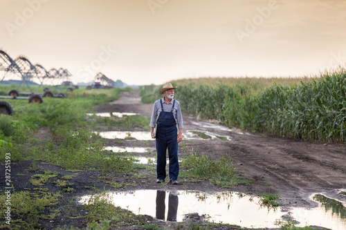 Cuadro en lienzo Farmer in flooded field