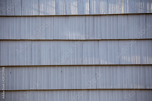 Wallpaper Mural Wooden tiles or shingles typical of the northwestern pacific coast, painted white. wooden texture and geometrical patterns Torontodigital.ca