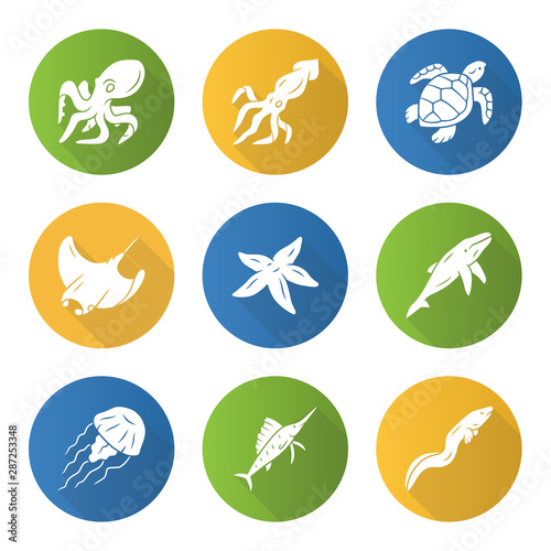 Sea animals flat design long shadow glyph icons set. Swimming octopus, starfish, squid, jellyfish. Marine aquarium. Whale, skate, turtle. Underwater inhabitants. Vector silhouette illustration