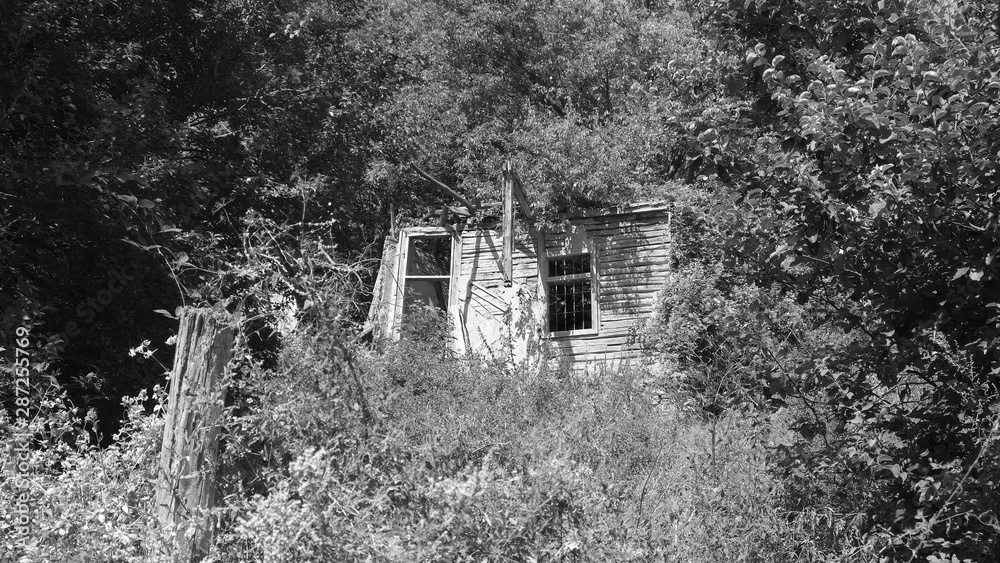 Obraz premium derelict house