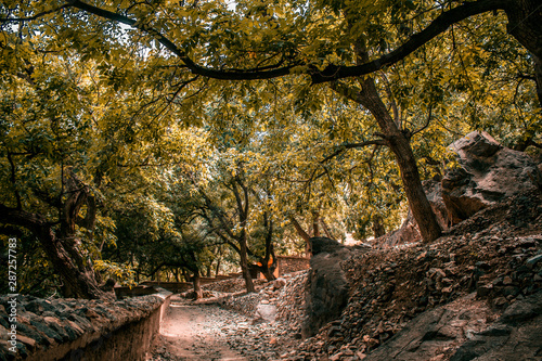autumn in the park of Toubkal