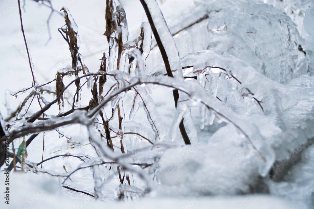 Frozen branch with icicles during the cold winter