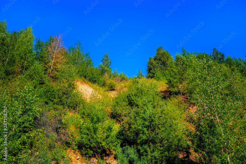 limestone cliffs overgrown with forest against a blue summer sky