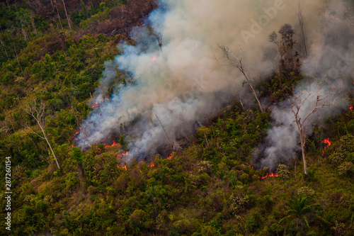 Recent burned and deforested area within Jamanxim National Forest. Amazon Rainforest - Pará / Brazil