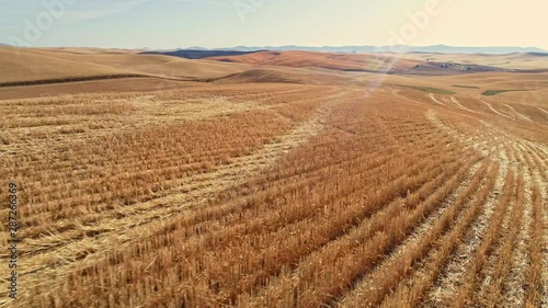 Stuff leftover stubble forms patters across hills of Eastern Washington