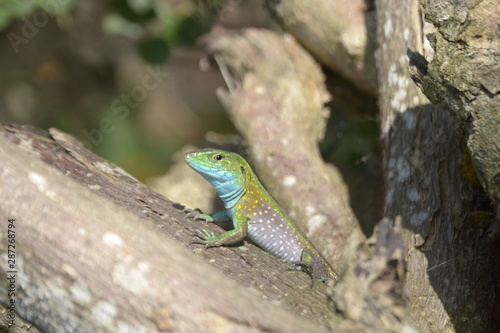 caribe colombiano © JuanLurduy