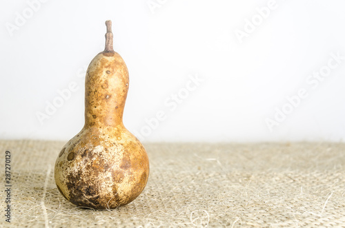 Traditional mexican gourd or Bule ornament photo