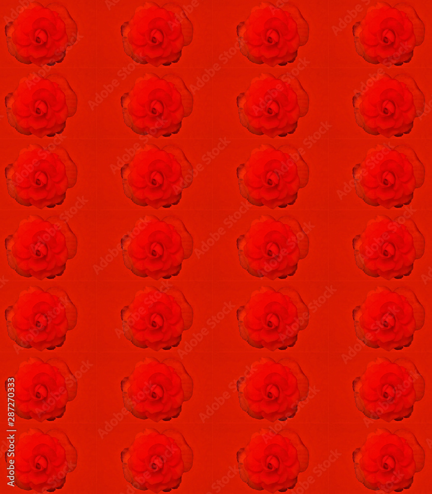 Red Abundance Red Abundance