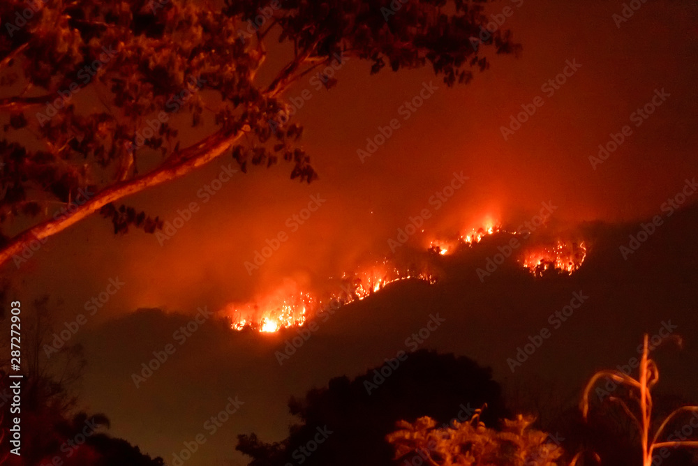 Fototapeta premium Amazon forest fire disater problem.Fire burns trees in the mountain at night.