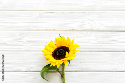 Fototapeta Naklejka Na Ścianę i Meble -  Sunflower on white wooden background top view copyspace