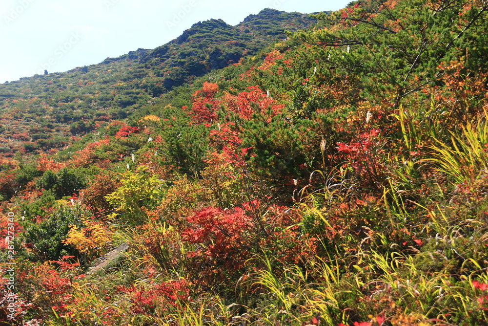 みちのくの秋　安達太良山の紅葉　