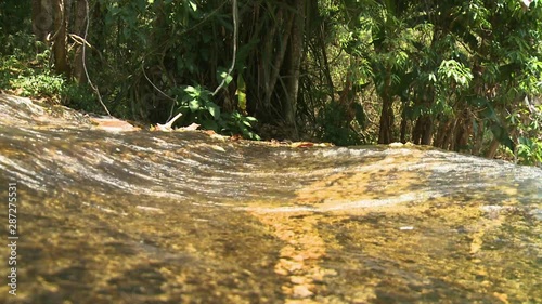 A hand held, extreme close up shot of leaves, water and serendipity in the forest.
