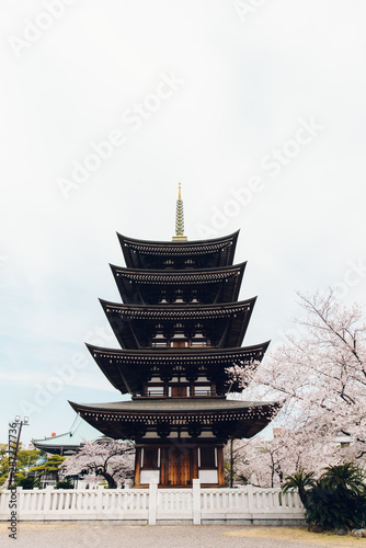 桜と五重塔