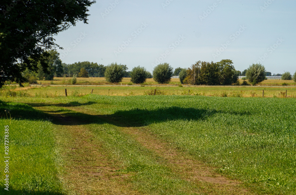 rural landscape with green field and trees rural landscape with green field and trees
