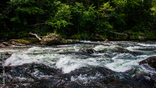 Mountain river. Sakhalin.