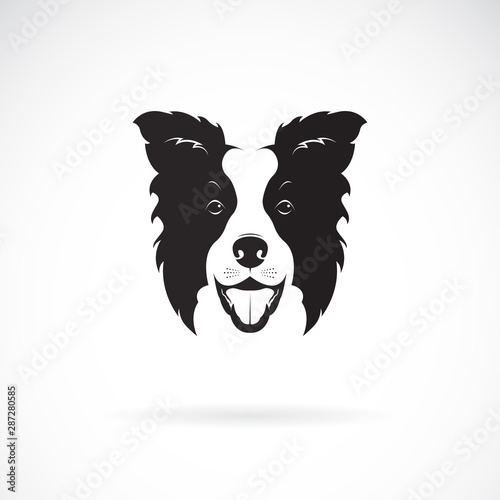Vector of a border collie dog on white background. Pet. Animal. Dog logo or icon. Easy editable layered vector illustration.