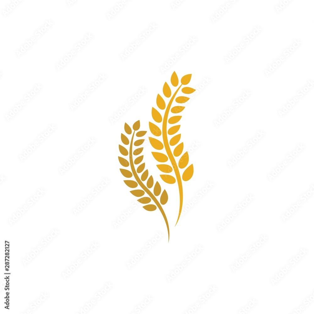 Wheat vector icon