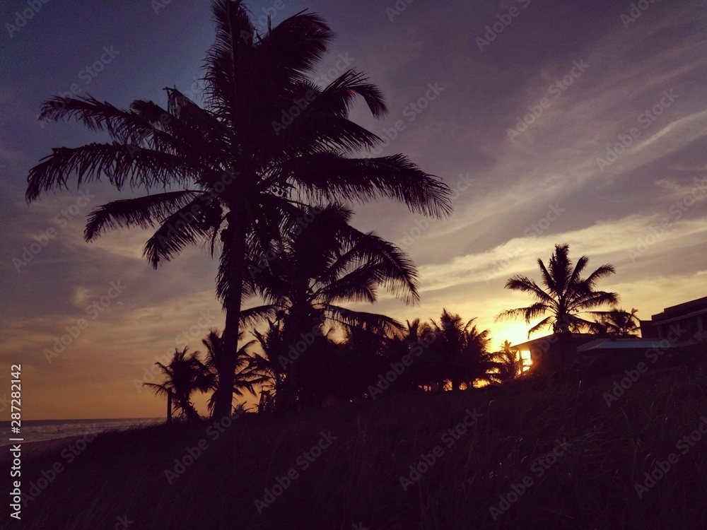 Fototapeta sunset on the beach
