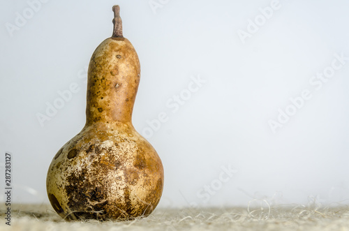 Traditional mexican gourd or Bule ornament photo
