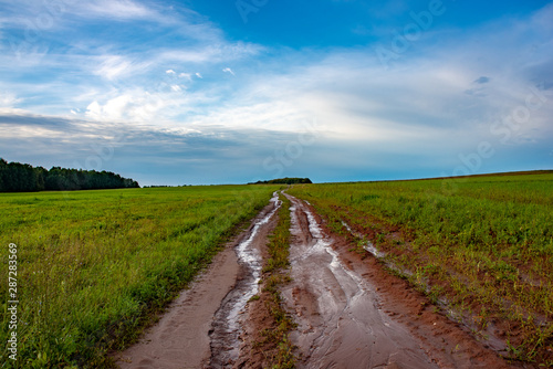 After the rain. Wet swollen clay road passing through the field. Yakshur-Bodya district. Udmurt Republic  Russia