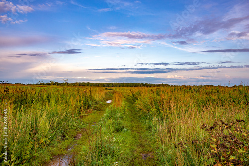 Evening after rain. Overgrown grass road passing through the field. Yakshur-Bodya district. Udmurt Republic, Russia