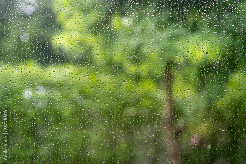 Rain drop on glass with blurred green tree background.