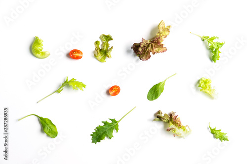 Various hydroponics vegetables isolated on white background, top view