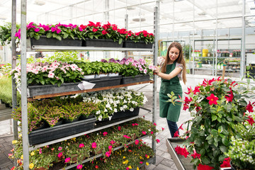 Young woman moving shelves of potted plants