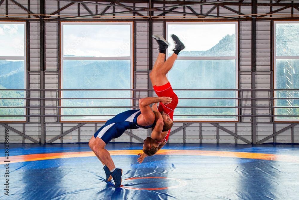 Fototapeta premium The concept of fair wrestling. Two greco-roman wrestlers in sportwears makes a throw through the chest on a wrestling carpet in the gym.The concept of male wrestling and resistance