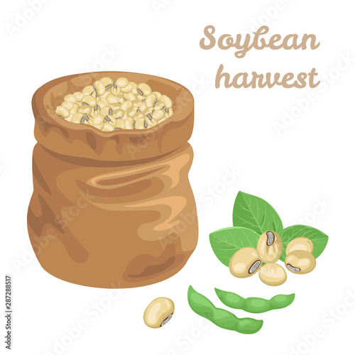 Soybean bag Isolated on white background. Green Soya pods and leaves. Vector illustration of legumes in cartoon simple flat style. Soybean harvest.