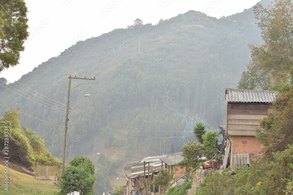 BOGOTA